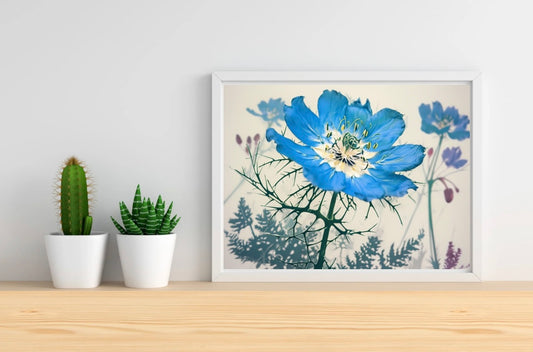 Blue Flower Neutral Background Landscape Print