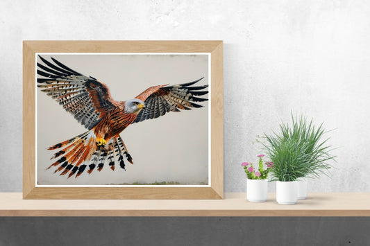 Bird of Prey Neutral Background Landscape Print