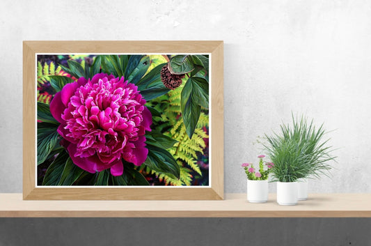 Peony Landscape Print