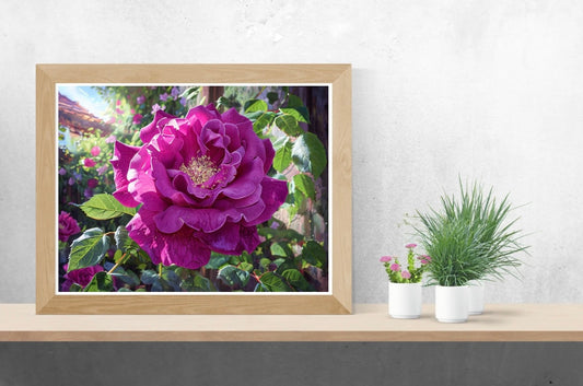 Purple Flower Garden Landscape Print