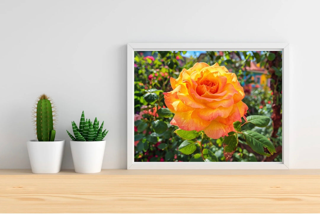 Yellow Rose Garden Landscape Print