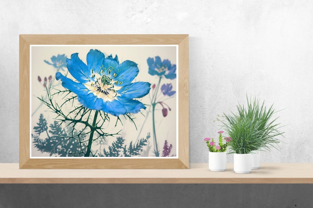 Blue Flower Neutral Background Landscape Print