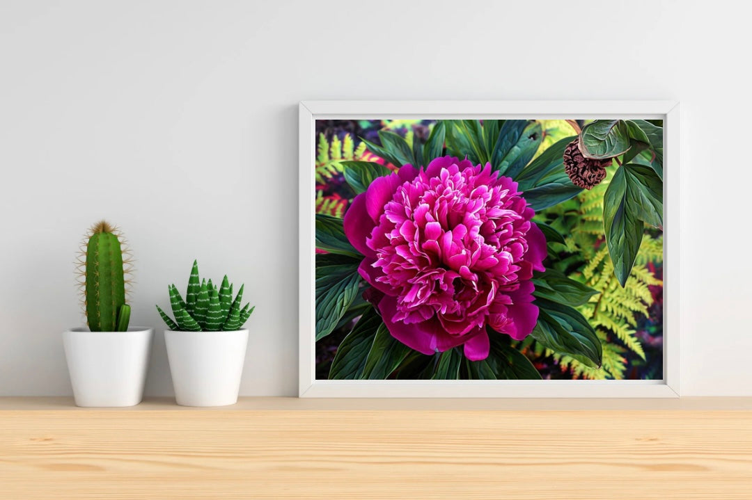 Peony Landscape Print