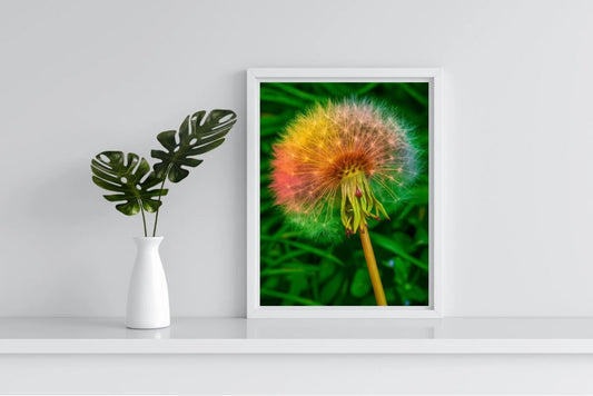 Rainbow Dandelion Portrait Print