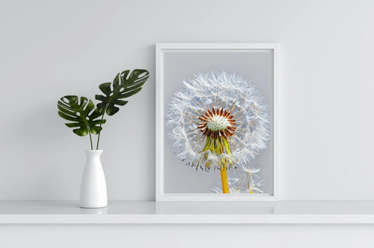 Dandelion Portrait Print